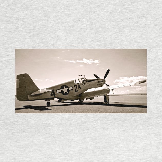 Tuskegee P-51 Mustang Vintage Fighter Plane by Scubagirlamy